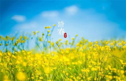 中秋节祝福短信送领导同事 中秋节送领导短信祝福语