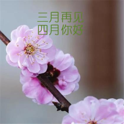 结婚祝福语8个字 结婚红包写祝福语