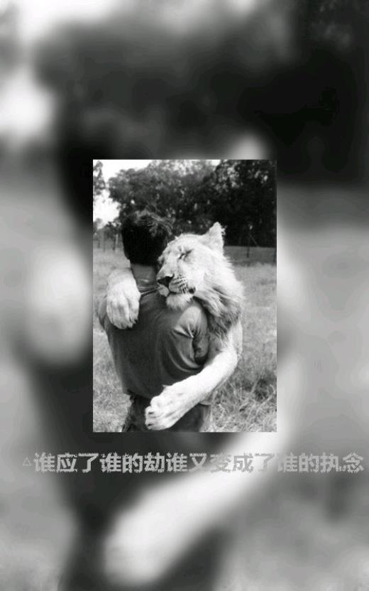 鼓励学习的经典语句(积极的人却控制环境…)