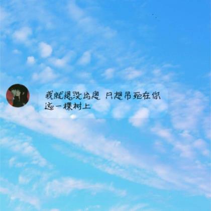 抖音很火的语录 工作励志经典语录大全[24句]