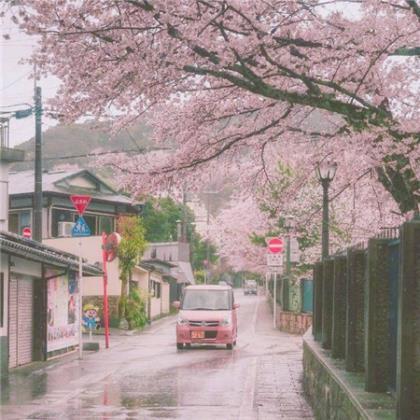 运动会班级介绍词 初中运动会霸气口号(24条)