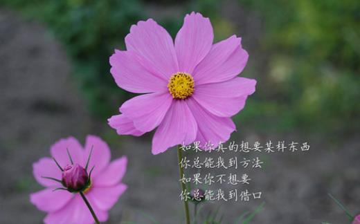 教师节暖心祝福语