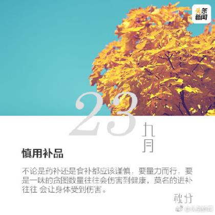 形容心情好的句子唯美 生活感悟心情句子图[20句]