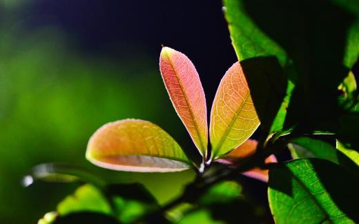 适合自卑的人发的朋友圈 自卑的说说