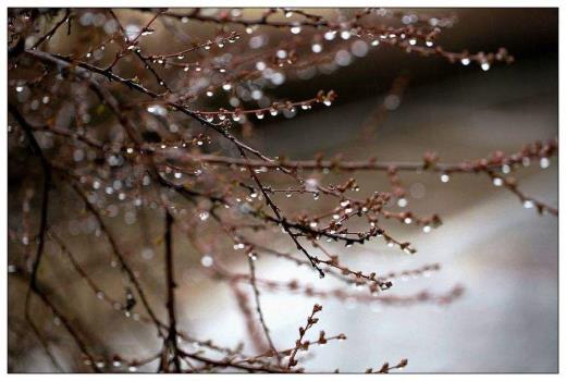 下雨过后的说说 朋友圈 微信下雨天朋友圈配文