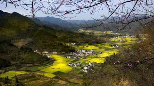 美容院发给顾客感恩短信 感恩节感恩客户短信[48条]