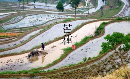 朋友圈励志说说正能量 霸气励志的朋友圈说说(50句)