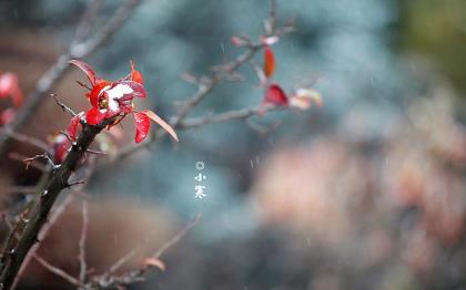 心累的说说心情短语 心情不好的说说带图片 心情说说(30条)