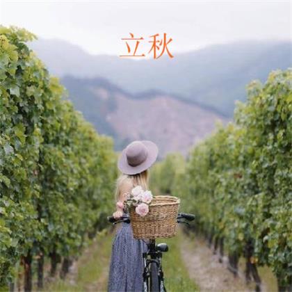 爱情伤感个性签名句子[48句]