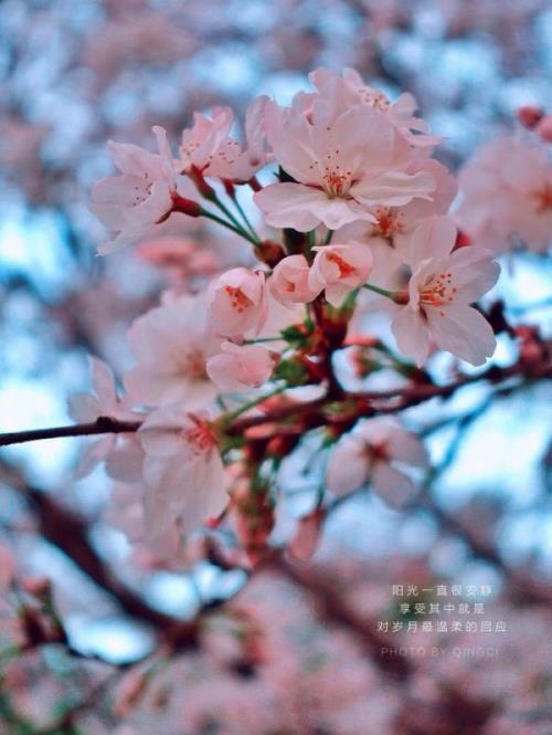 霸气简短的加油口号(城市因体育勃发生机…)