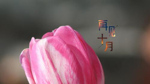 母亲节给妈妈发短信30字 给母亲发红包数字意义(60句)