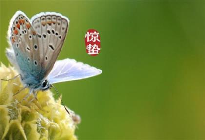 一年级入队家长祝福 一年级小学生入队父母的话