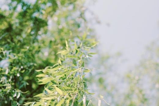 中秋节祝福微信图片 中秋节微信祝福动画表情