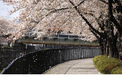 2024年谷雨简短祝福语 谷雨时节祝福问候语