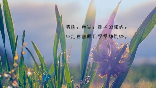 毕业时写给同学的话 小学毕业送给老师的话