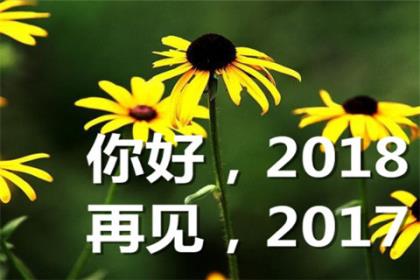 幼儿园园长寄语大全100条 幼儿园副园长简介格言