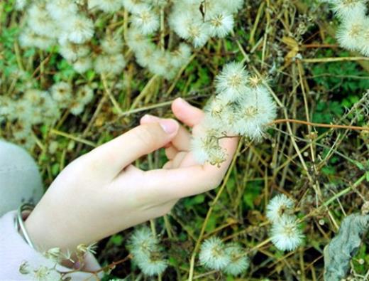 重阳节朋友圈怎么写 s搞笑朋友圈说说